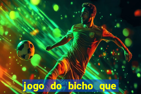 jogo do bicho que paga no pix