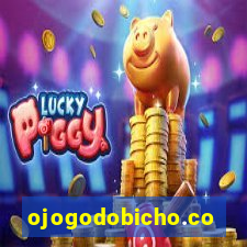 ojogodobicho.com