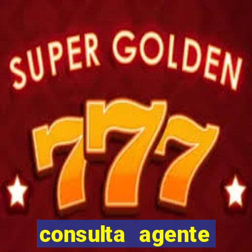 consulta agente autuador sp