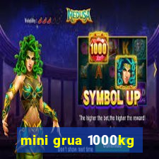 mini grua 1000kg