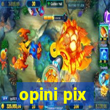 opini pix