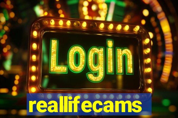 reallifecams